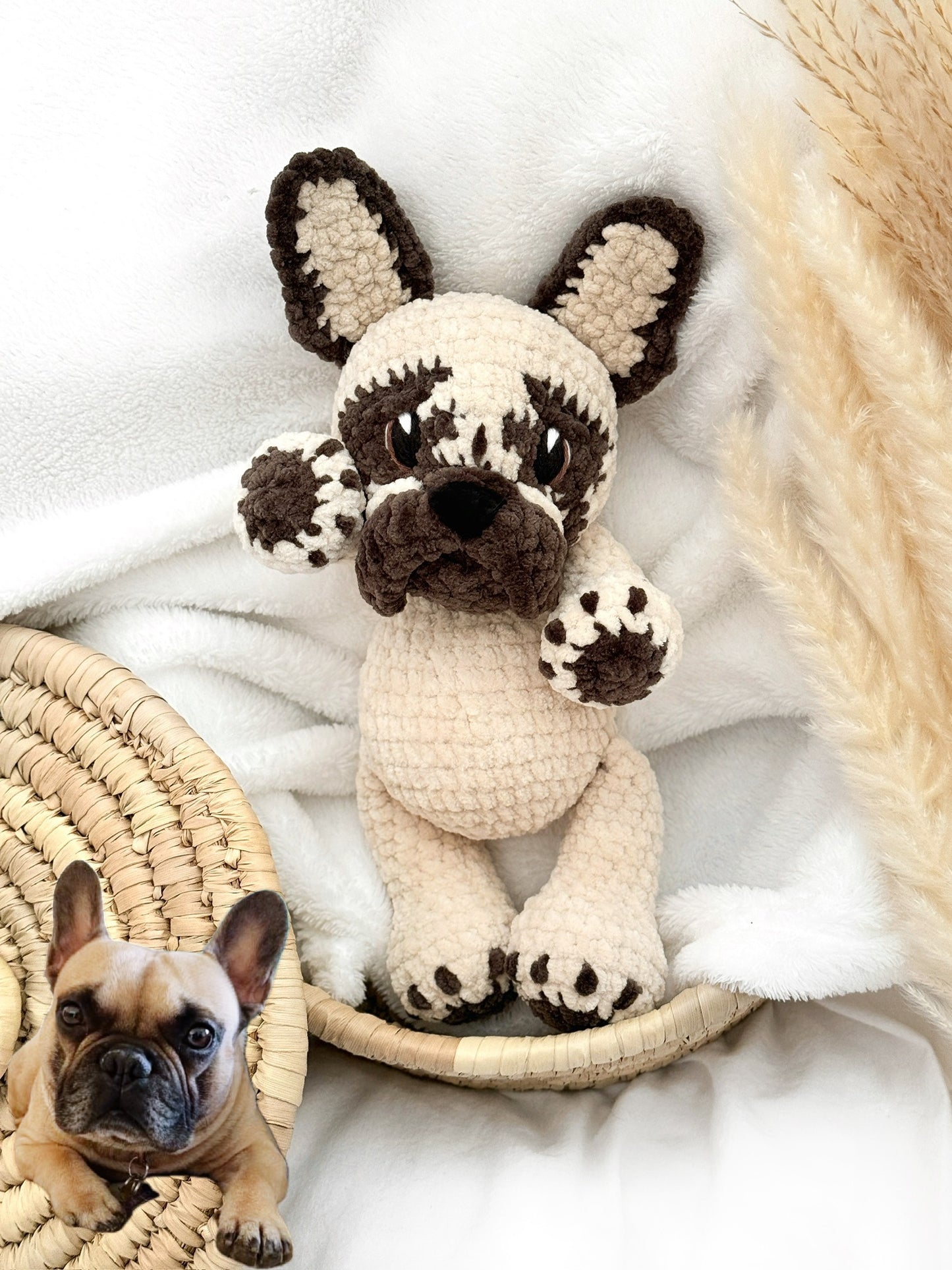 Bouledogue français