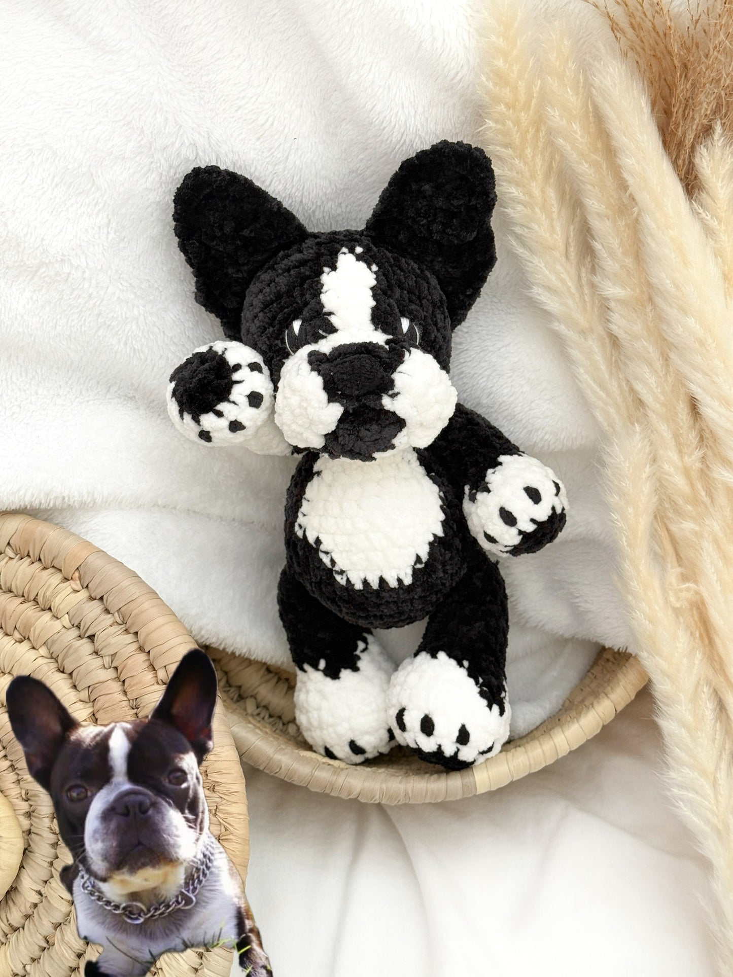 Bouledogue français