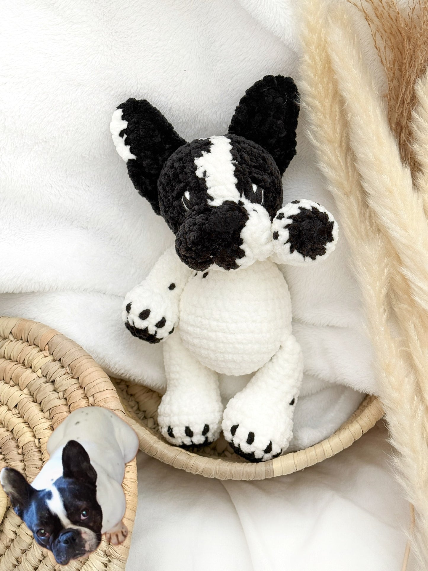 Bouledogue français