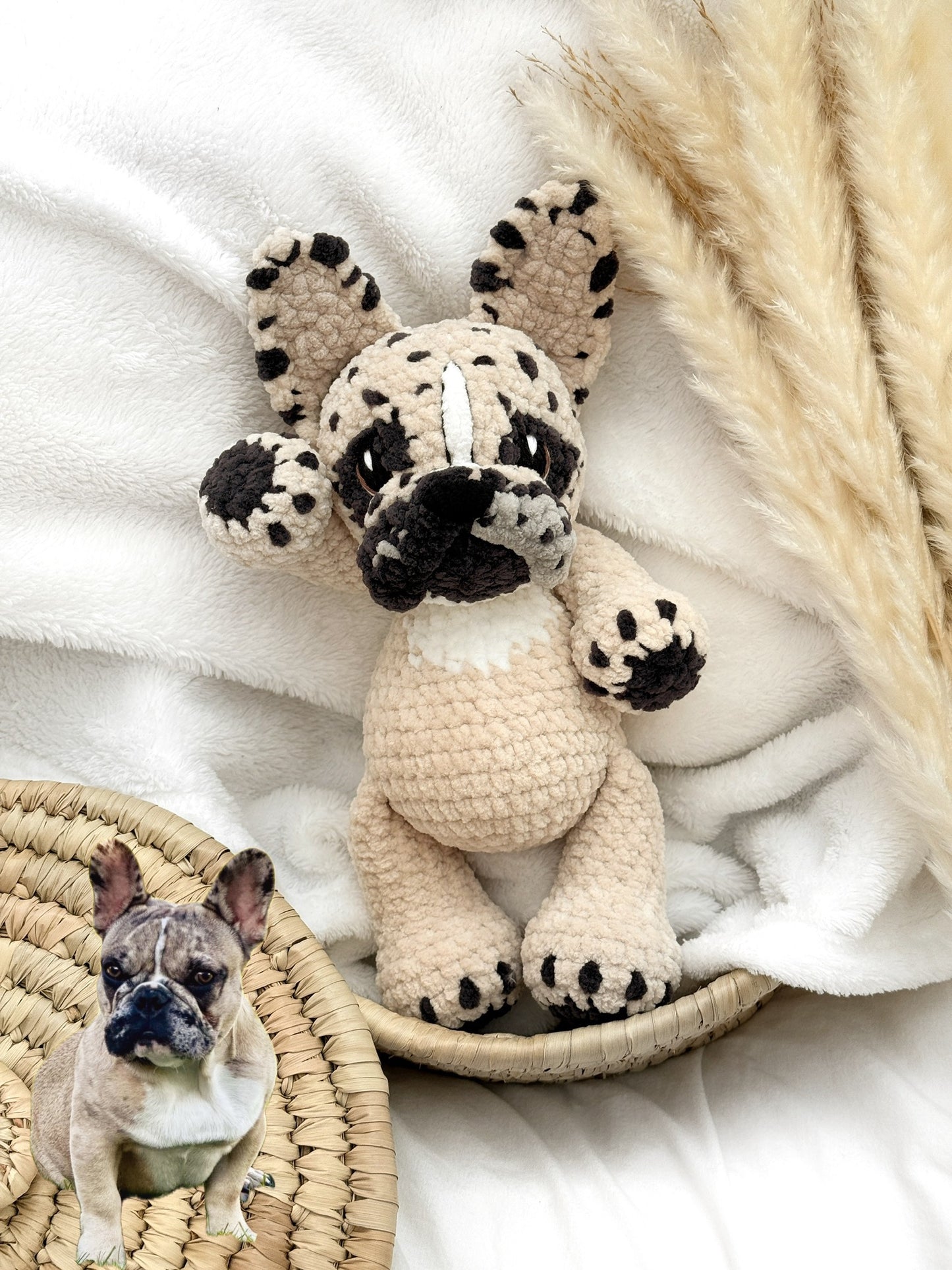 Bouledogue français